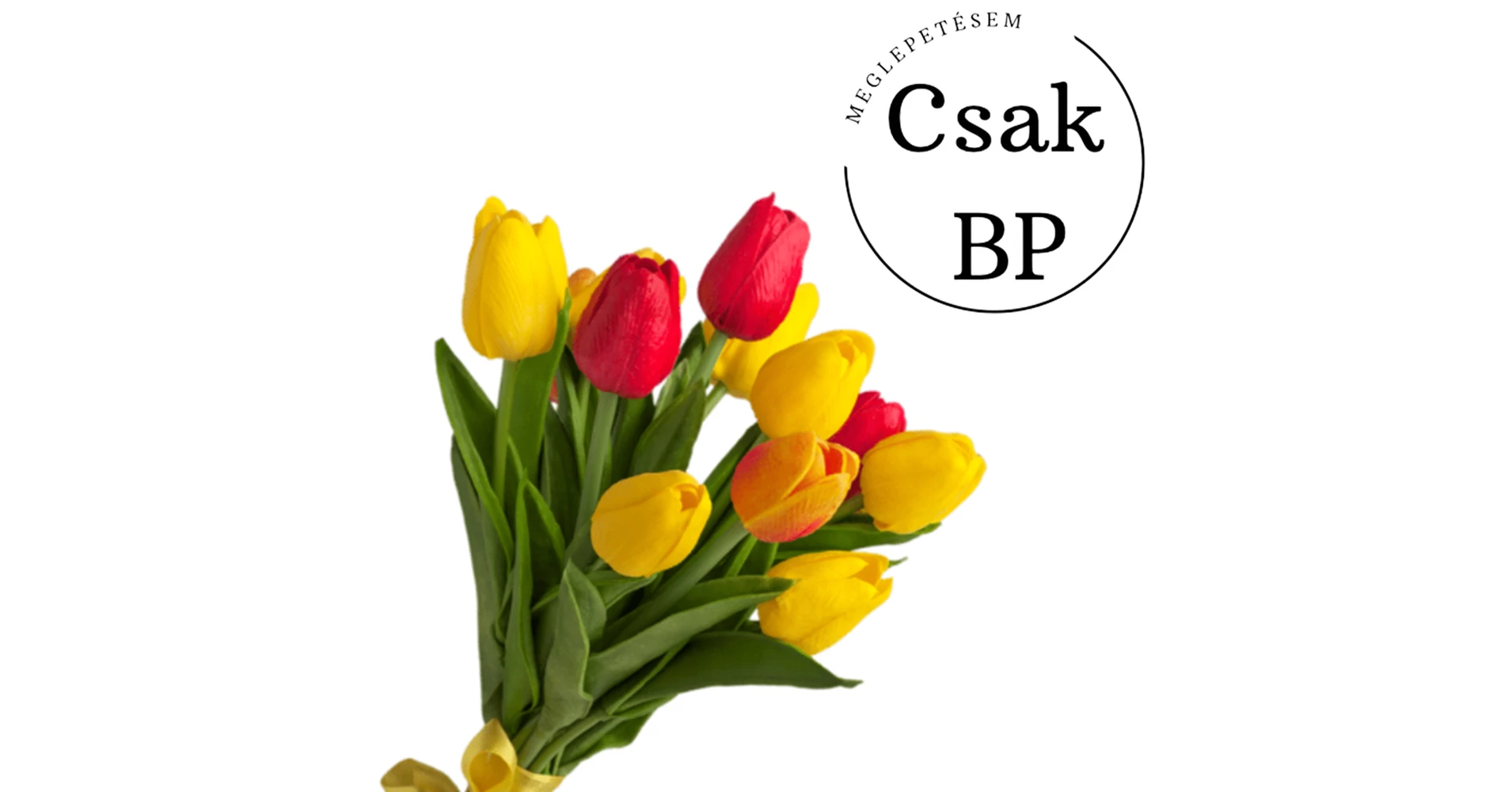 Tulipán 1 szál - Ajándékküldés díszdobozban